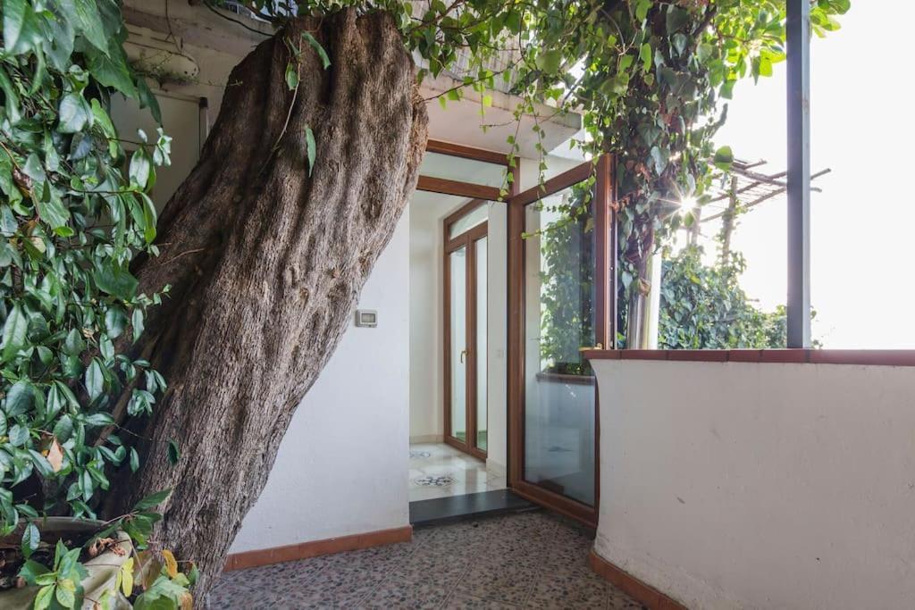 Villa Lena Conca dei Marini Exterior photo